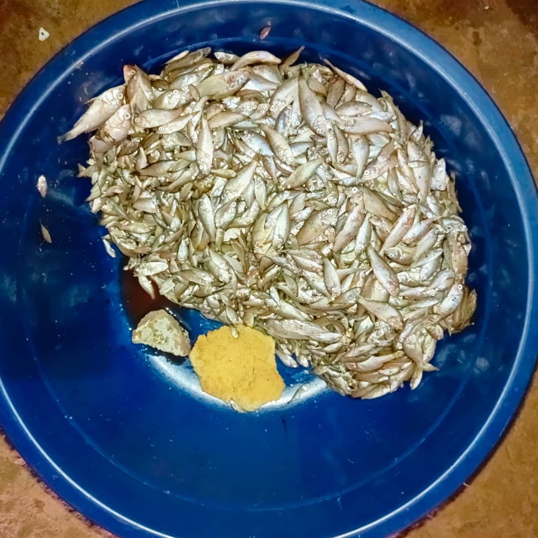 RUZIZI EN PÉRIL : ALERTE CROISÉE DE LA SOCIÉTÉ CIVILE ET DES EXPERTS DE L’ENAMEF BUKAVU.